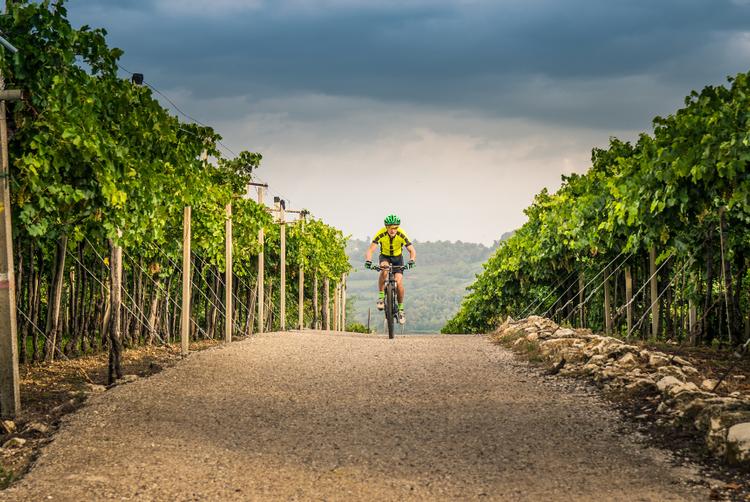 ARCOTEL Camino Stuttgart | Stuttgart | 6