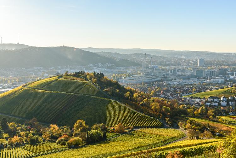 ARCOTEL Camino Stuttgart | Stuttgart | 5